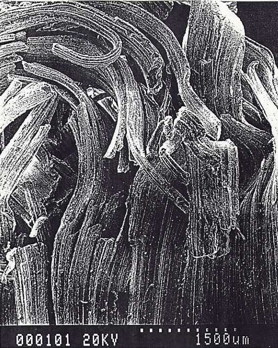 Black and white micrograph-like image labeled aluminum jellification